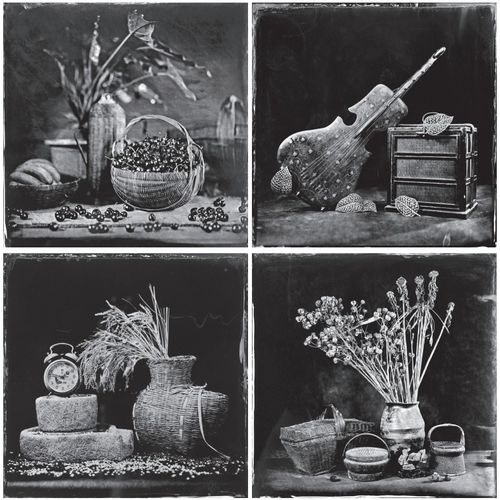 光影绘新篇——江苏省“文艺两新”创作成果展摄影作品述评